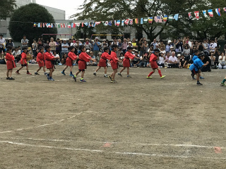 IMG_0625.jpg