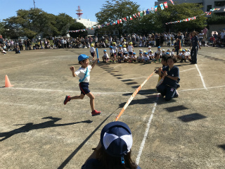 IMG_0662.jpg
