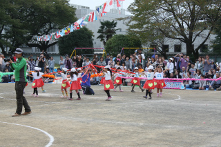 IMG_7987.jpg