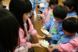 IMG_8562.jpg
