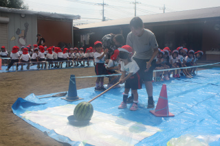 IMG_9654.jpg