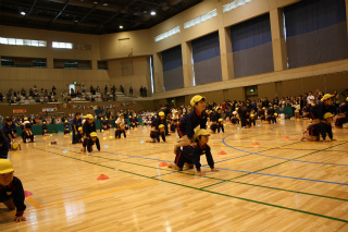 IMG_9951.jpg