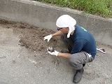 s-P9174479.jpg