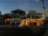 s-PC170332.jpg