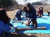 s-P2120766.jpg