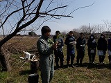 s-P3200977.jpg