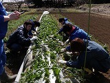 s-P3200982.jpg