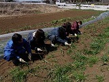 s-P3200985.jpg