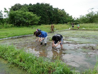 s-P6171555.jpg