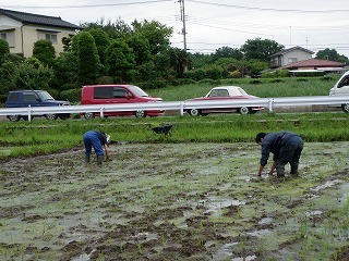 s-P6171557.jpg