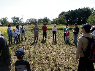s-PA082289.jpg