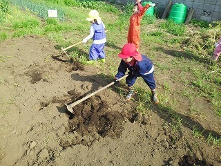 2016-04-20 15.12.24.jpg