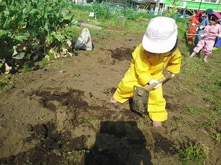 2016-04-20 15.13.06.jpg