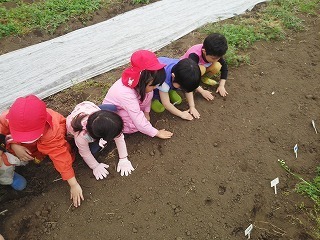 2016-04-27 14.26.32.jpg