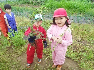 2016-04-27 14.39.59.jpg