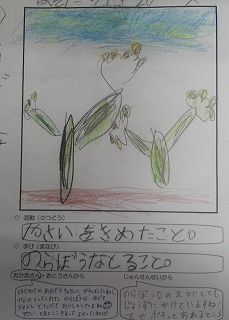 2016-04-28 08.52.18.jpg