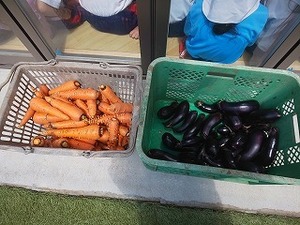 DSC_3952.jpg