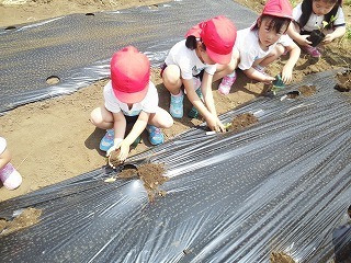 2016-05-26 10.47.51.jpg