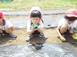 2016-05-26 11.10.41.jpg