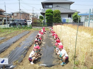 2016-05-26 11.18.34.jpg
