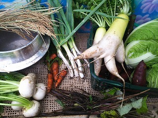 DSC_1078.jpg