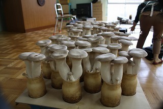 IMG_8545.jpg