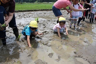 IMG_9335.jpg