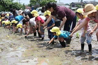 IMG_9337.jpg