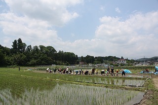 IMG_9366.jpg