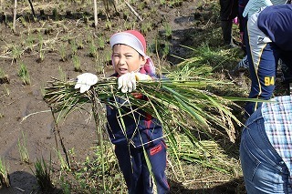 IMG_9634.jpg
