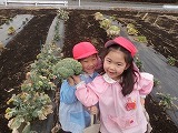 s-P2153297.jpg