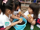 s-P8254335.jpg