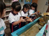 s-P8254342.jpg