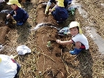 s-PB290178.jpg